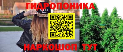 дурь Лесосибирск