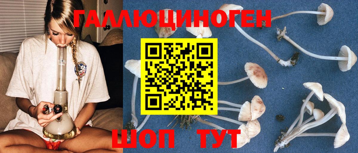 Псилоцибиновые грибы Cubensis Будённовск