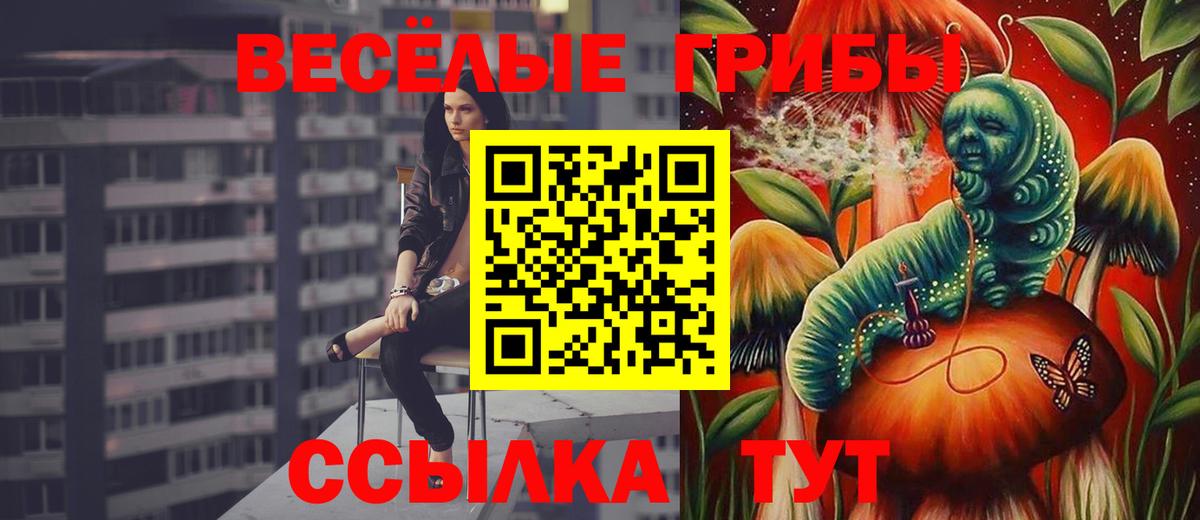 Будённовск  Псилоцибиновые грибы мицелий  Вход с VPN  Галлюциногенные грибы Cubensis 